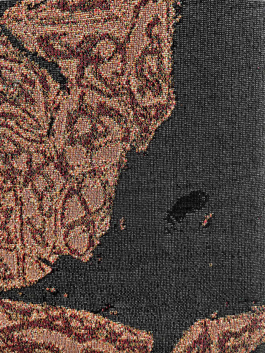 Slide Image