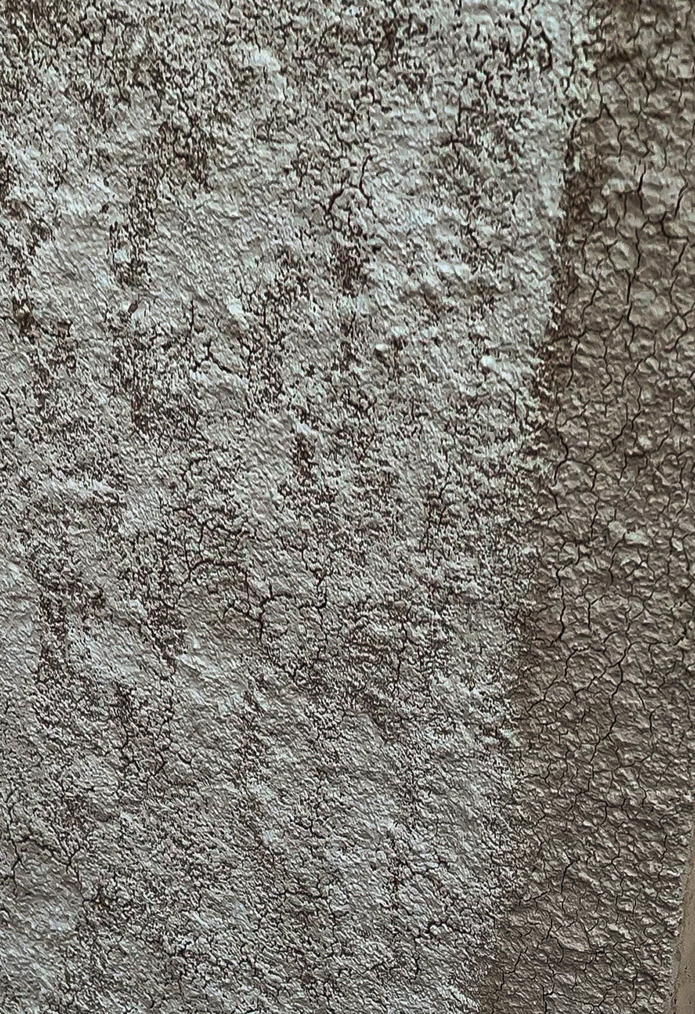 Gallery Image 0