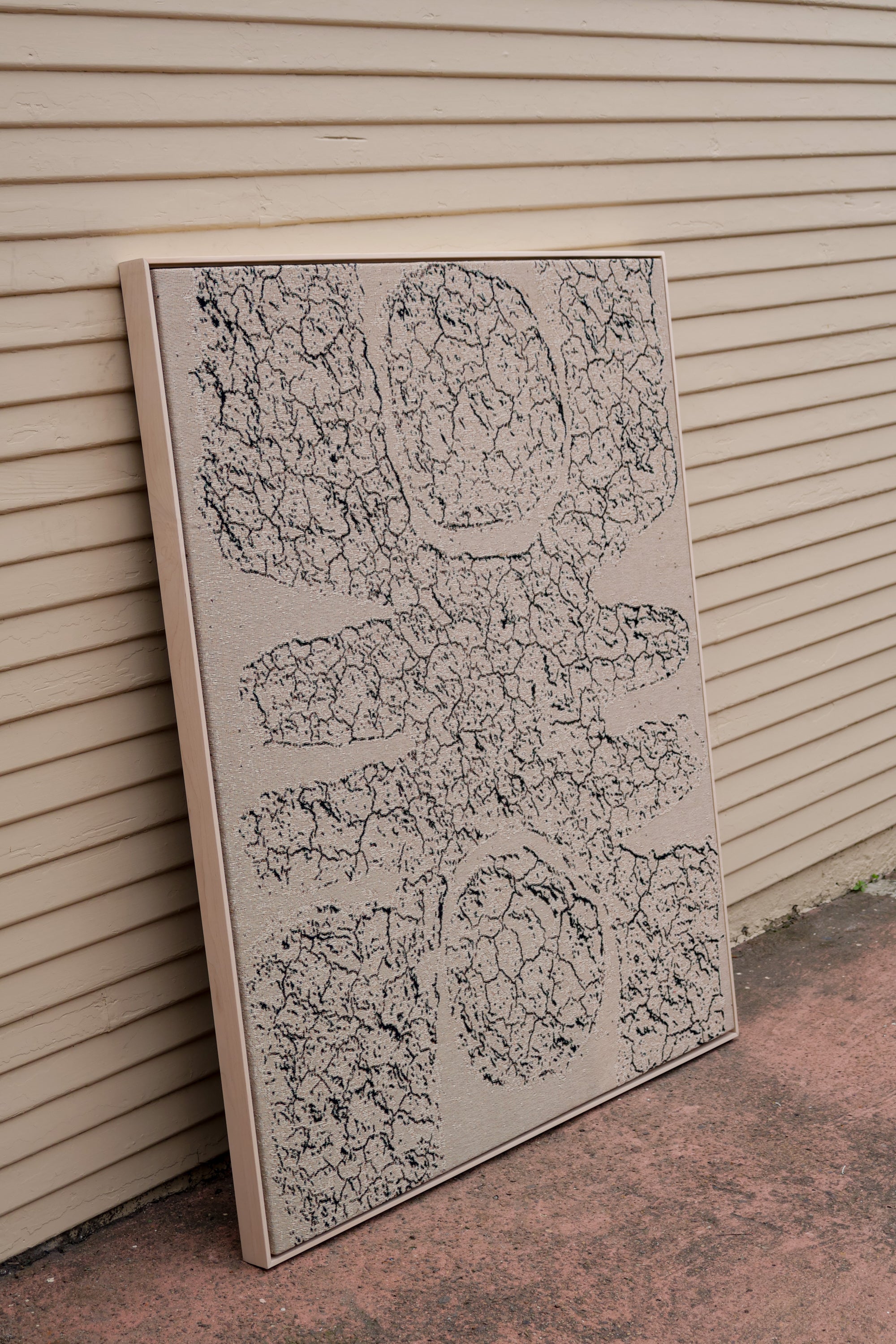 Slide Image